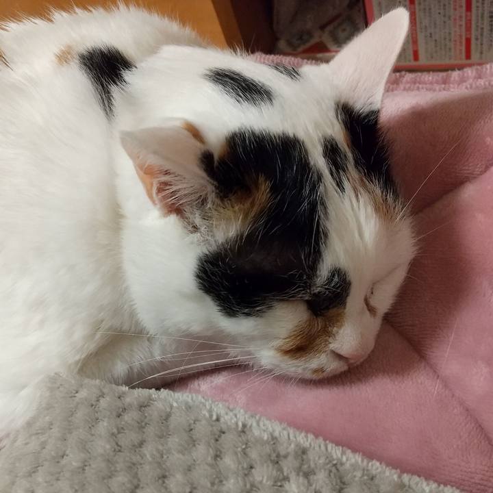 629e131f 2de9 4d7b 8c71 5f3ff0039160 1615816513377