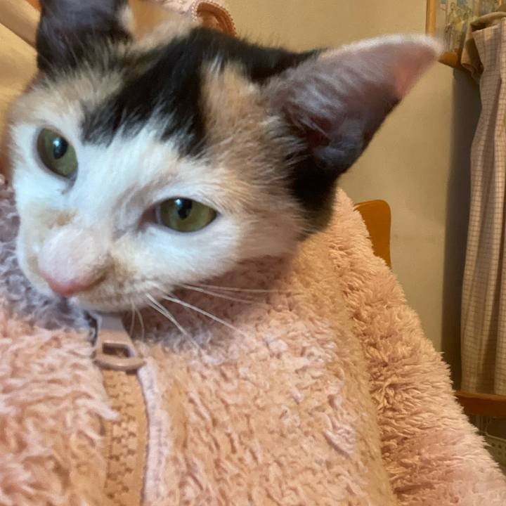 629e1745 c029 4b7a b369 28762b8bb112 1665138859349