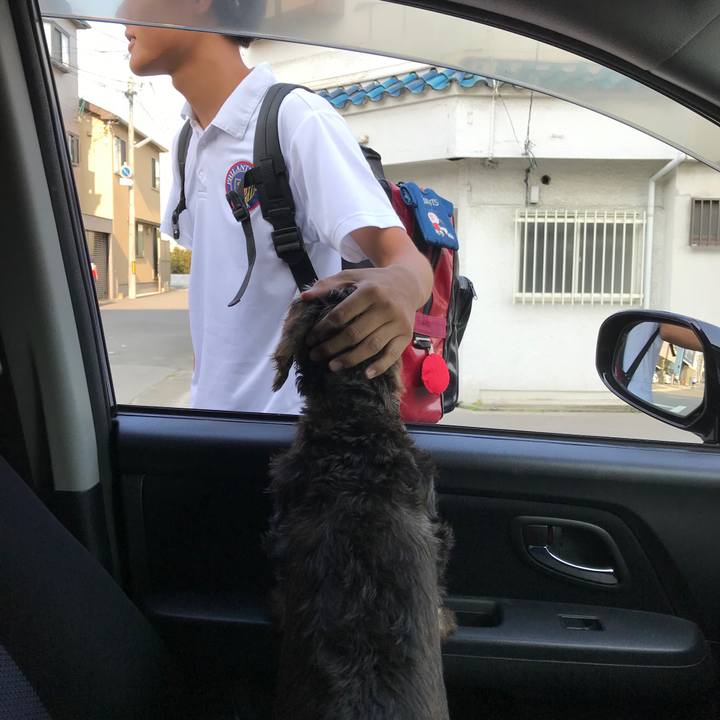 629e3229 e520 4116 89be 776f29c87b3c 1564874333515