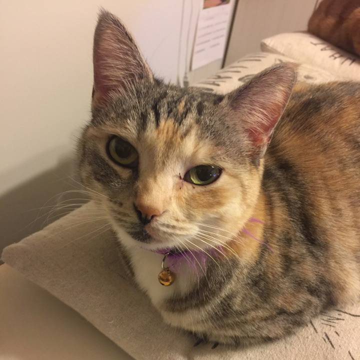 629e65ff c12e 4b65 bd7c 18adc0dd65d6 1548613608068