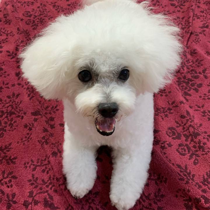 629e7b1d a5c6 499d a8cb da9baf920a6f 1634013043724