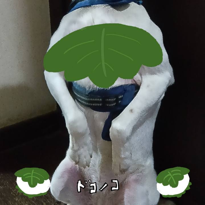 629ebf25 f8b3 4892 91da 65ed9f060a2d 1749125084843