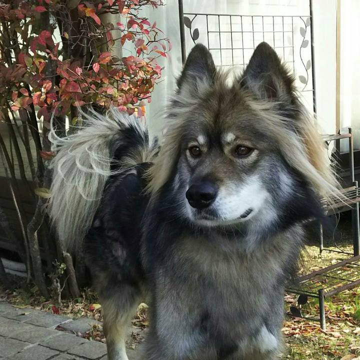 629eeb34 89dd 4b88 85ad ba3b896b90fe 1514797720232