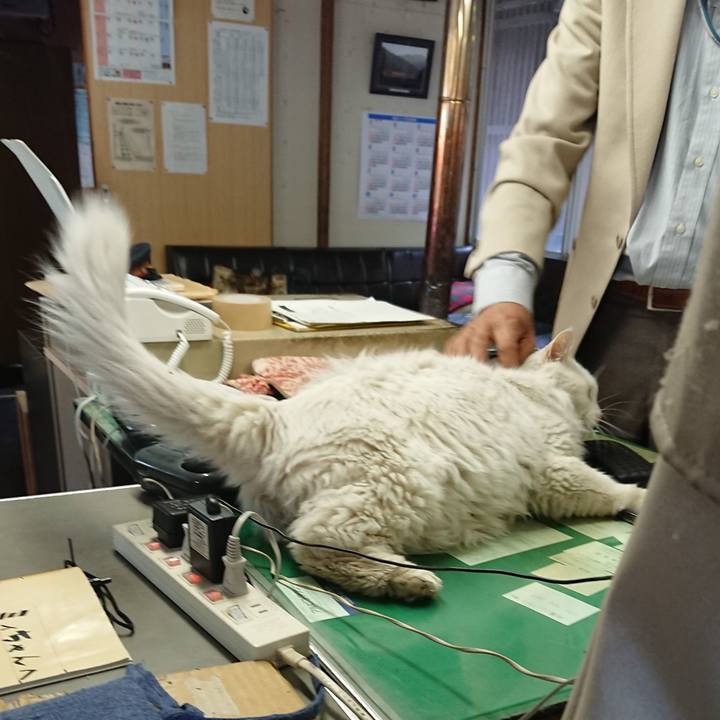 629f45b6 5949 4e57 8783 b2755aa90a06 1557354389766