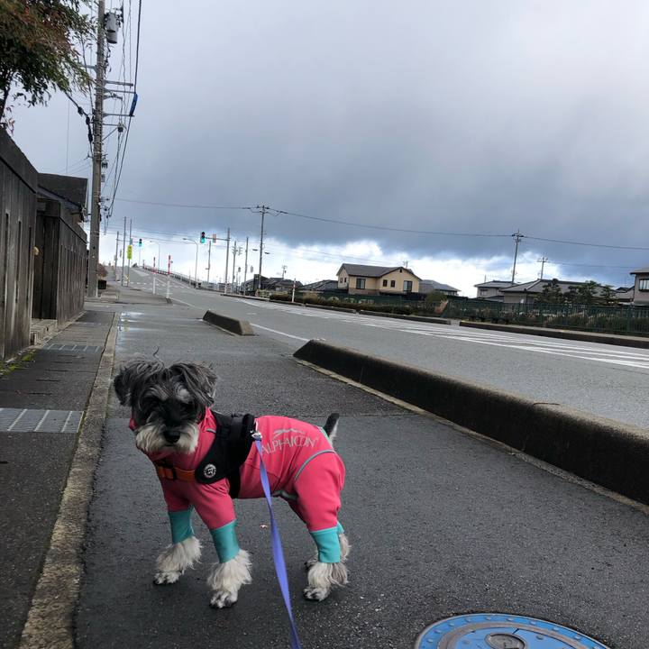 629f5382 b7db 41b1 9853 2086a60fd4a7 1702790288228