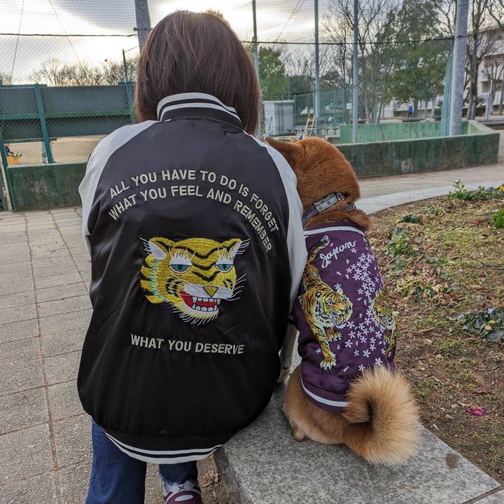 629f5fca 6773 46cf a970 0893d5c586a7 1704271300439