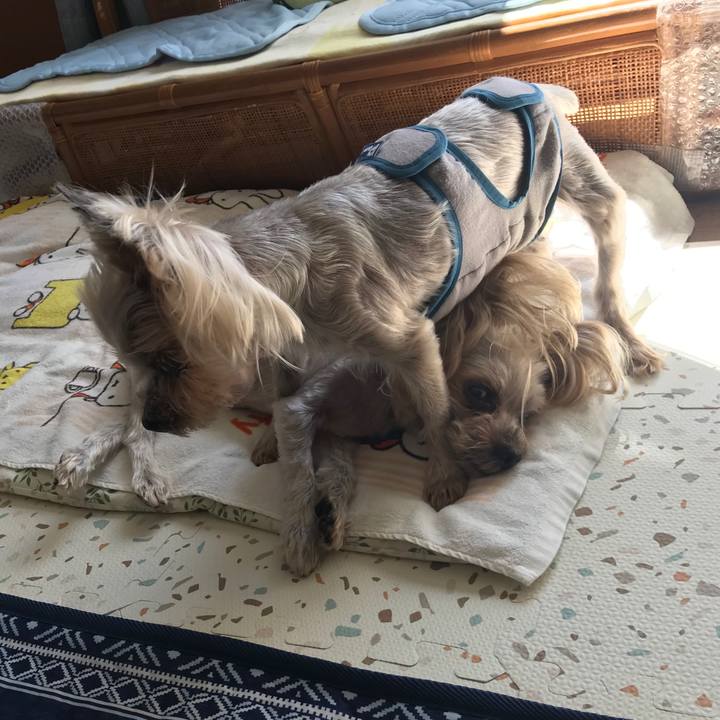 629fab12 dc04 4f2f b3d4 4e646a976d53 1692955666570