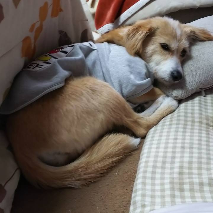 629ff97b ea79 4b5d 8146 53f928cf6090 1545437923493