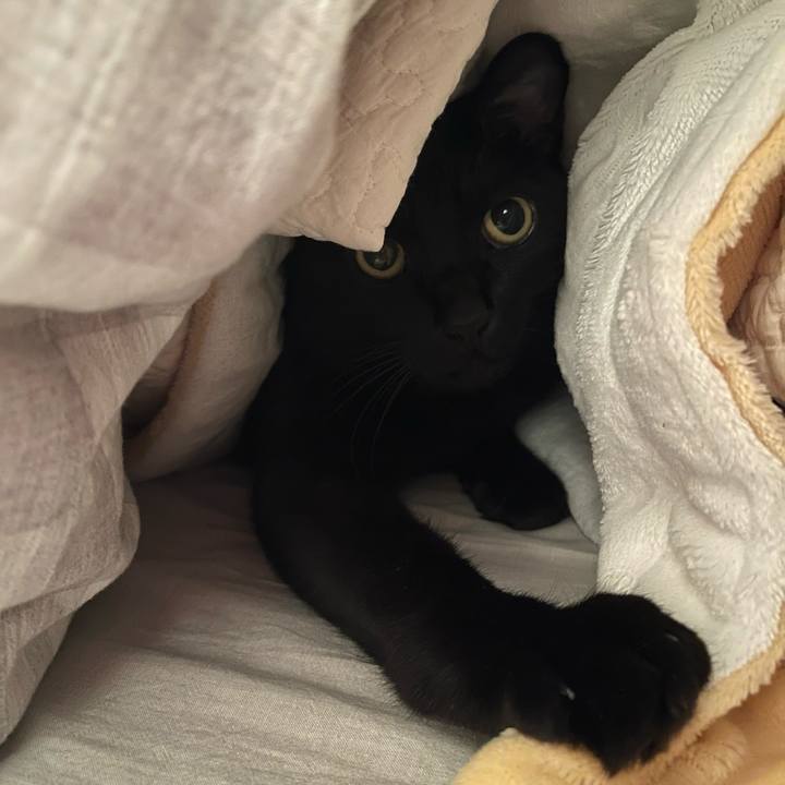 62a07a7c aeb8 4abf 937d 64641e8daad3 1735081952934