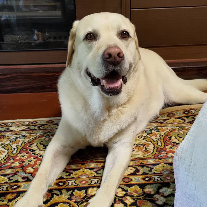 62a07dc9 fba9 44f0 80f4 7fba1d95b4ea 1693023471145