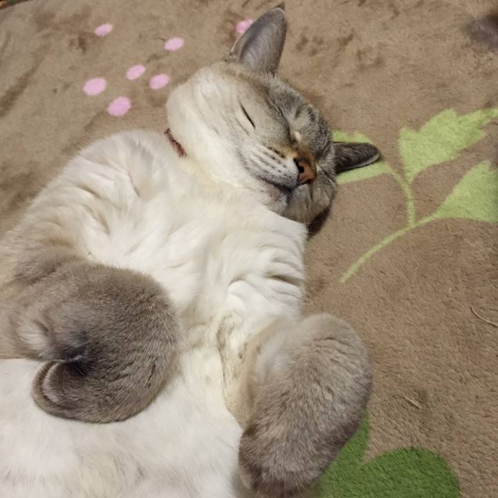 62a07f76 b9cf 4d67 adb1 c8a998985b98 1542981459430