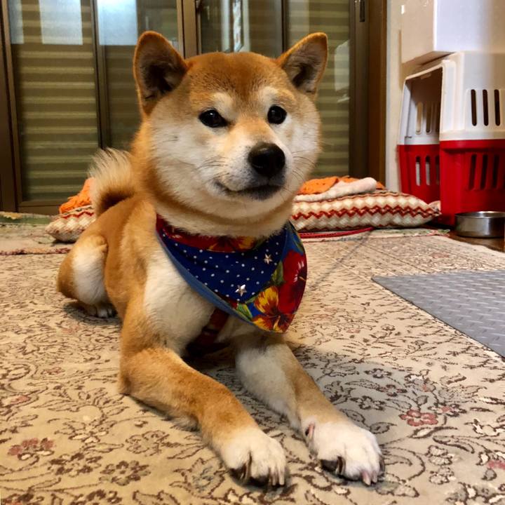 62a08d1e 774d 4682 8316 8398bb761623 1520504695699