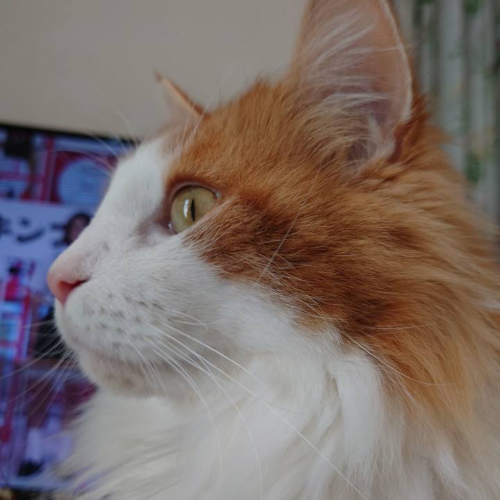 62a0f7c4 cd04 4d59 8b4d 98c7bc1a6627 1650083749998