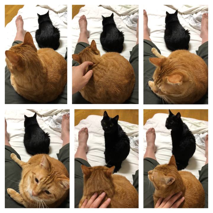 62a15579 d0bf 4a62 8903 bb906e1e8284 1561638928814