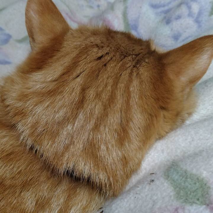 62a1740d b224 46dc aadb 58c100e72936 1672576980537