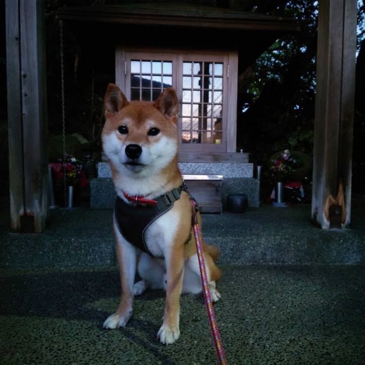 62a1bf45 ed49 47f4 a764 7513ac2e0b0c 1758930998307