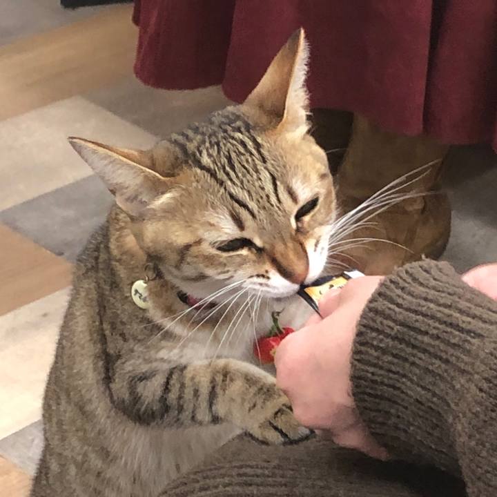 62a1d3dd 5491 4df3 86b8 1585280f69bc 1642394269131