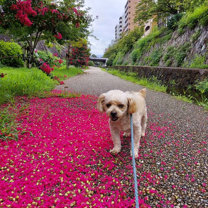 62a2077c de28 4332 acbc a445b9e17ea1 1630720152546