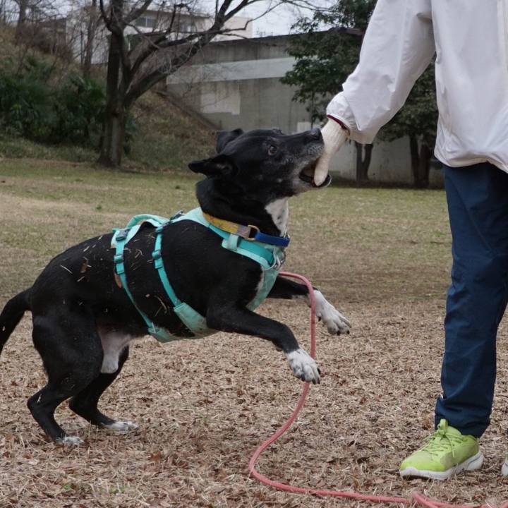 62a21856 af56 4303 9e77 58356f744f9c 1772413179913