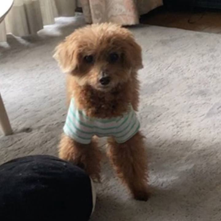 62a2196e 7aae 4de3 82b1 a33d8c29b324 1589613686034