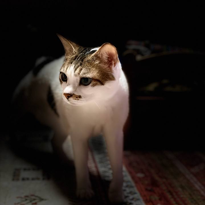 62a21aca 302b 4a27 a0ea bc014a97b8be 1767140529199