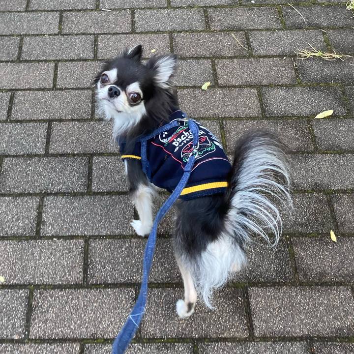 62a227df cbf8 409b bf98 74d54a086d43 1667659980137