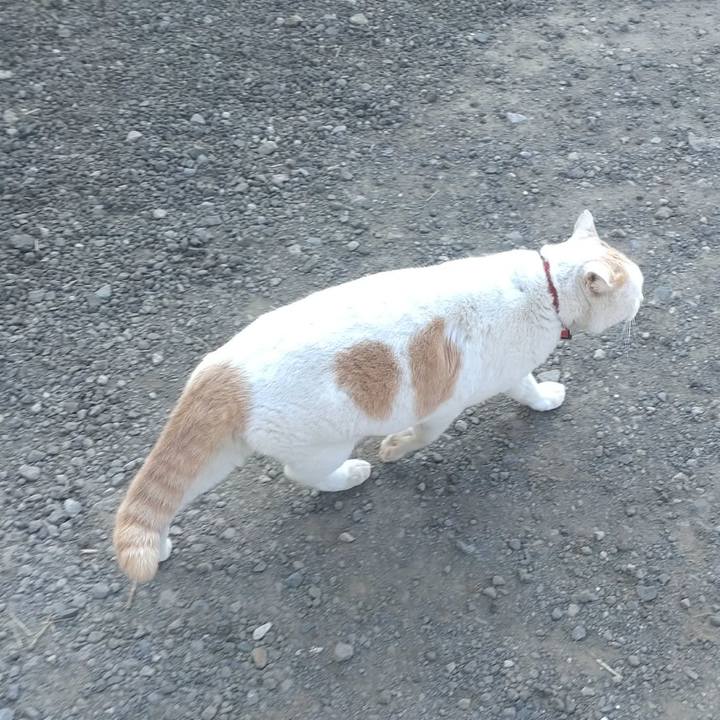 62a2635b 900b 4acc b919 a6d73bf985ab 1774316854392