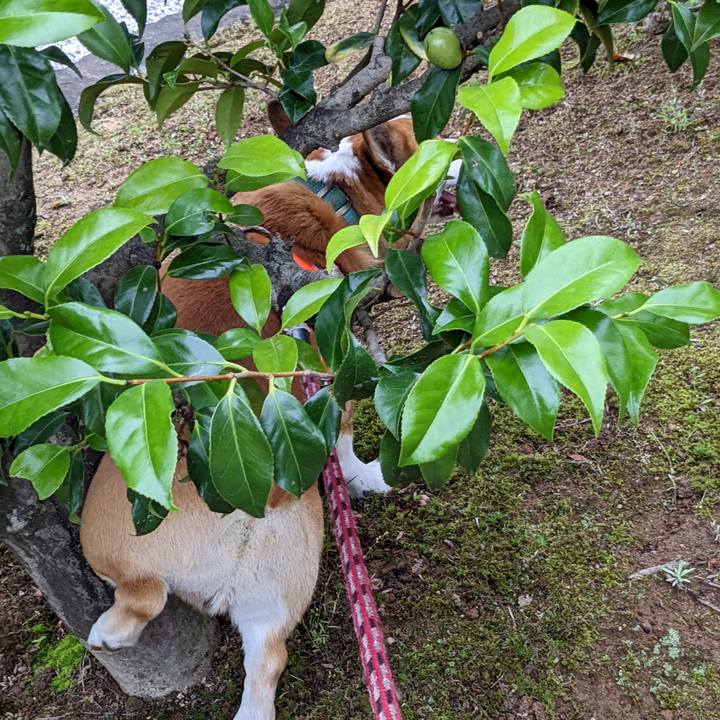 62a28992 48e6 40b9 bf1c b23a154d3c50 1686443997948