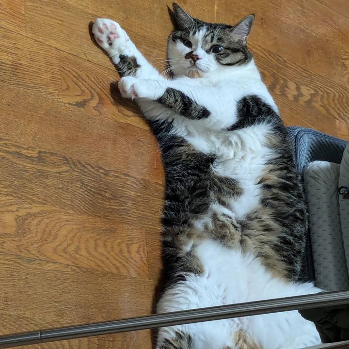 62a2bfa1 a298 42bb ad4e 9fe78578f767 1721906483706