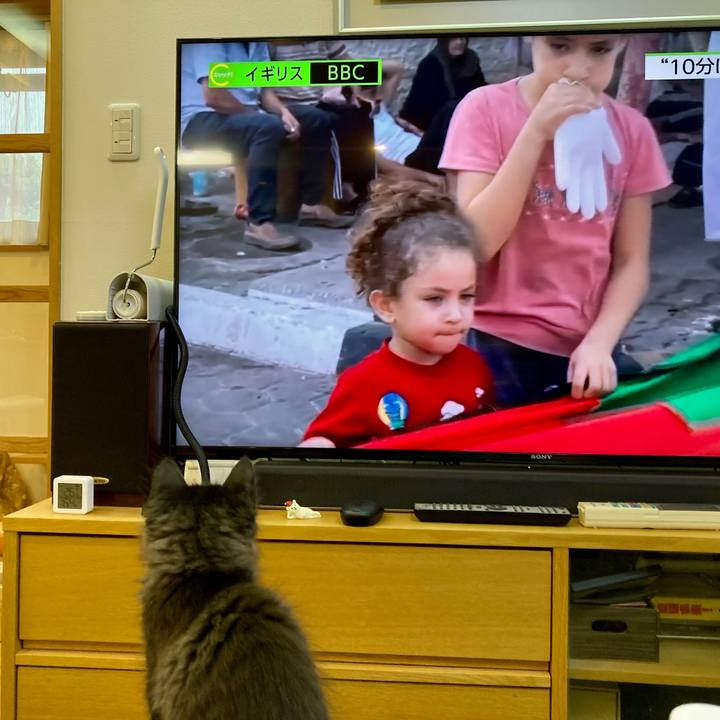 62a2c4fd 2d92 4759 adcf b9b2bf92274d 1699344386512