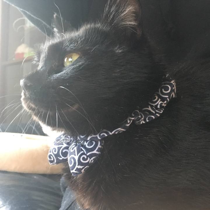 62a2c92c 8a6b 4d8a a7b4 d6cd0c6c5219 1550961865249