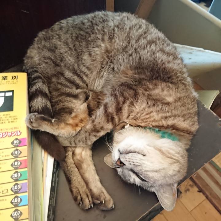 62a2cebb 74d1 43c3 96b9 80a8203bad21 1564195710109