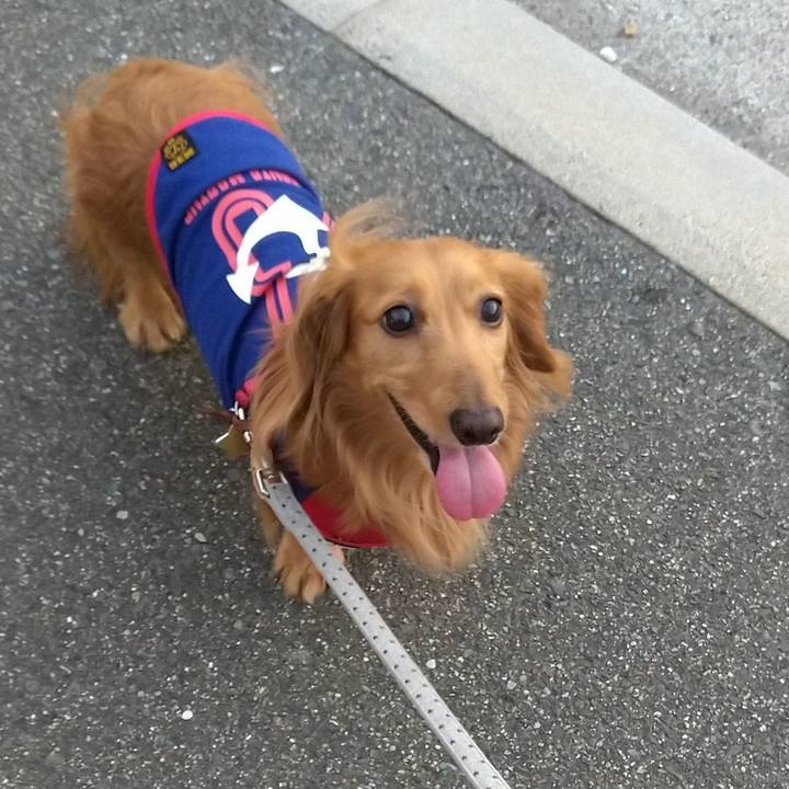 62a2dbc2 223f 4b67 b761 a57a83f00deb 1657156110042