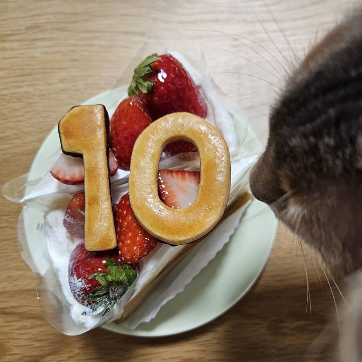 62a3613c 4438 42fa 8d90 69f4c39c1098 1733882772439