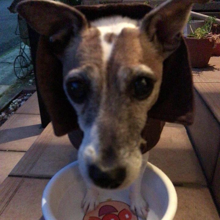 62a3993e fe9c 4734 ab55 2e8e424e9564 1515230640532