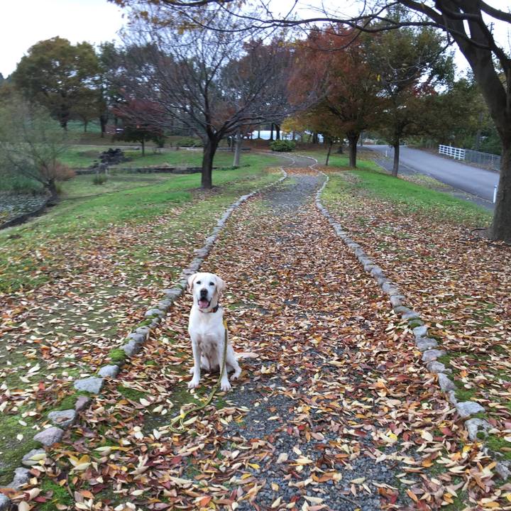 62a3a91b 56d2 4ca9 8684 2667859b4b1c 1541578678021