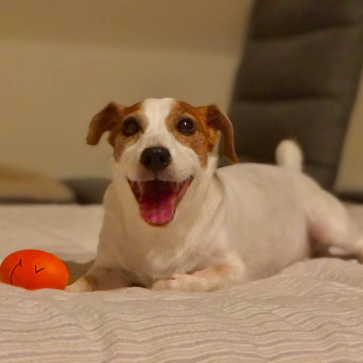 62a3a94a 5a75 42a5 998d 6b33316709e9 1724040069245