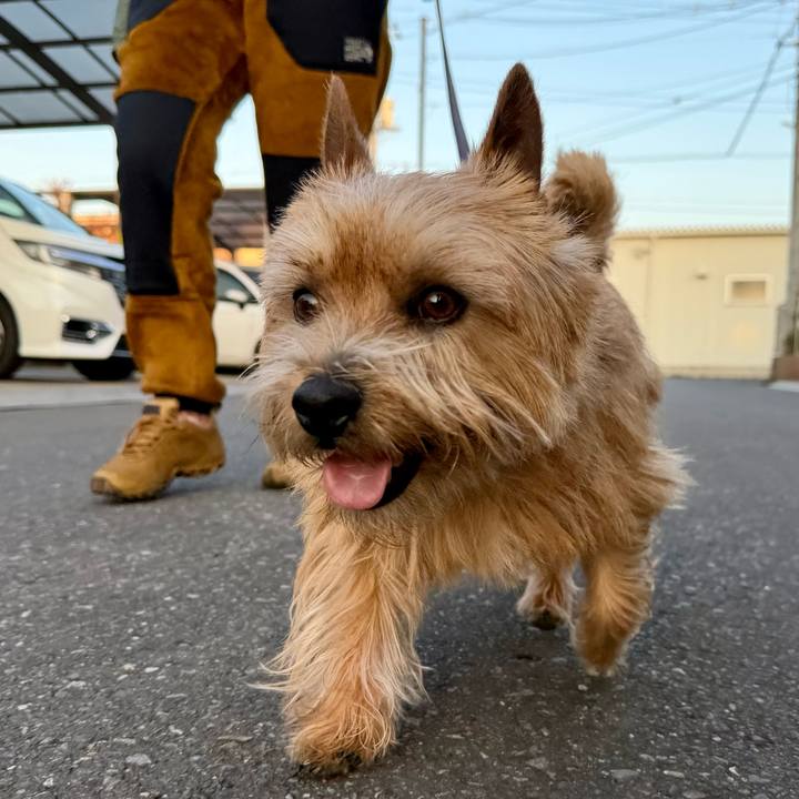 62a3b0a1 24c1 4445 a3e4 7bb2442af137 1771879547305