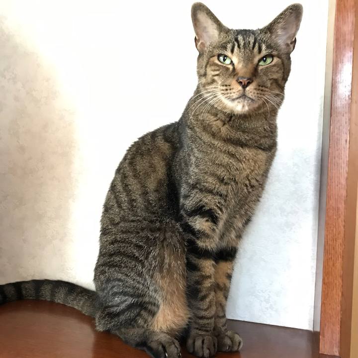 62a3f84a 1b73 4236 9d45 4a5d1da4b01f 1534895830324