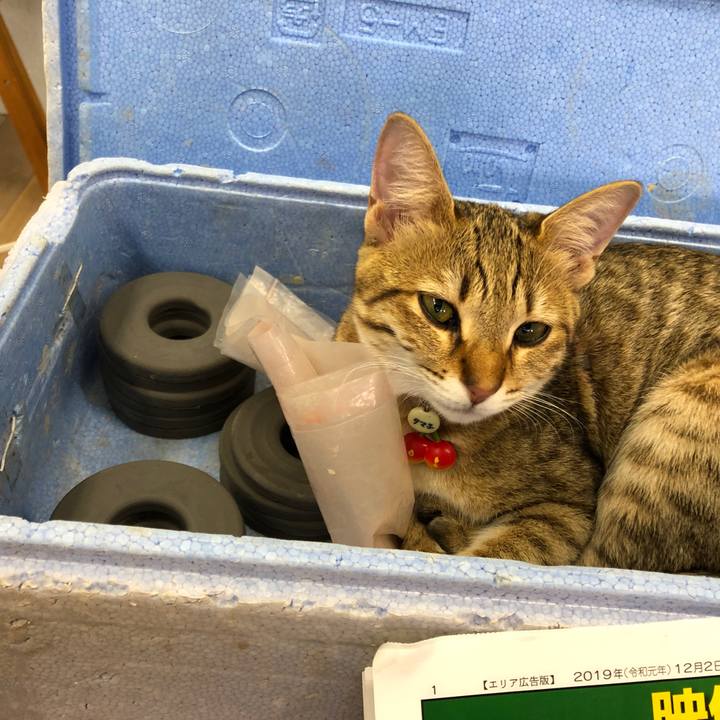 62a480b1 c141 41aa 9b61 21d69acd1458 1585963688279