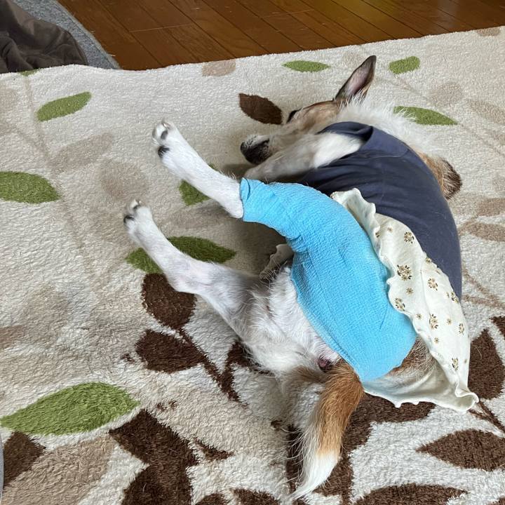 62a4cc24 7e03 4346 8da5 65d800b9bf0a 1719530429433