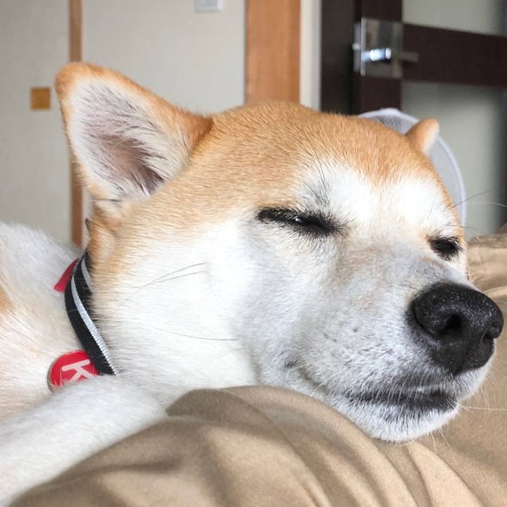 62a4d537 f0bb 4a90 b5ac 015c6bfc12e5 1526707717806