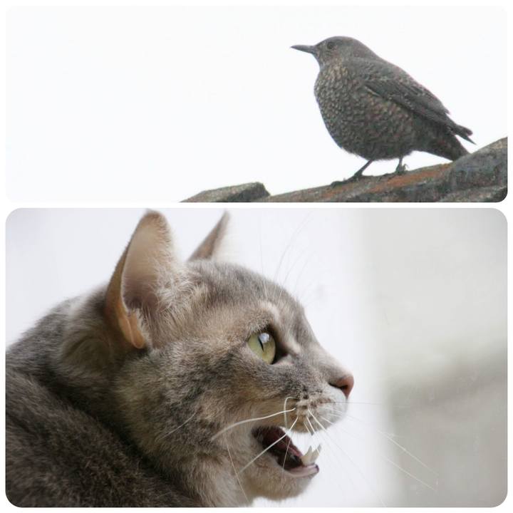 62a546f1 ce00 4586 bb28 3c2c23c8fbac 1545121185147