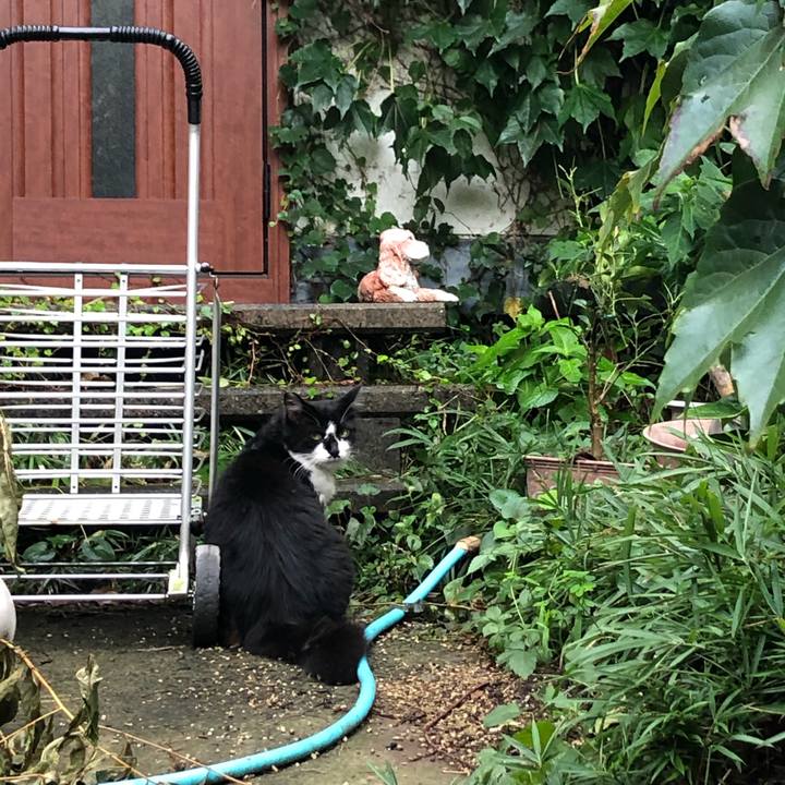 62a56378 b224 4b6c 9664 5b85b11a77e4 1569072121531