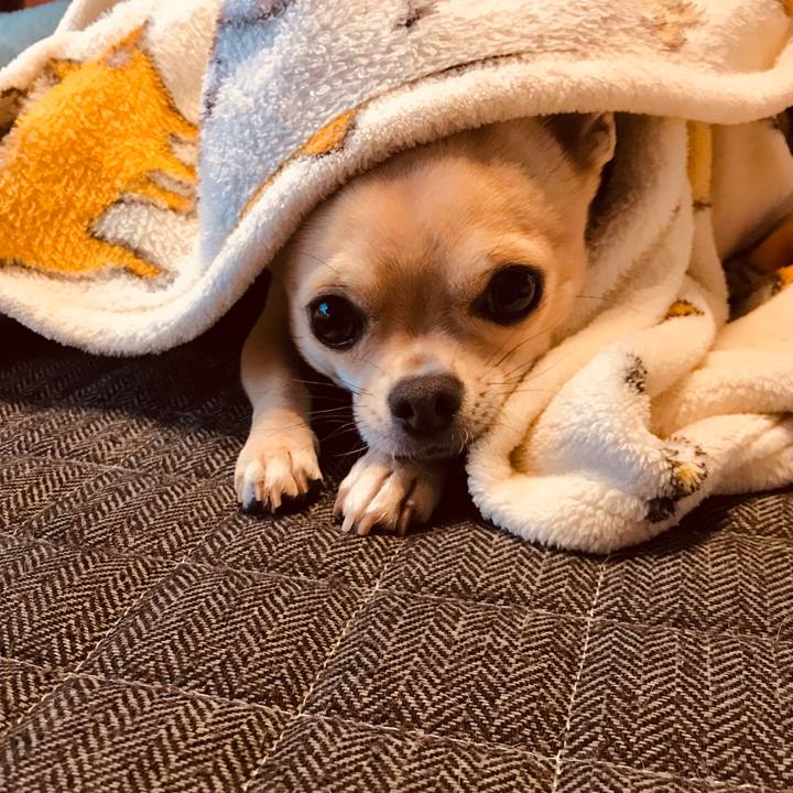 62a56816 5f08 48f3 a7f1 f2da58f68d8b 1548406852078