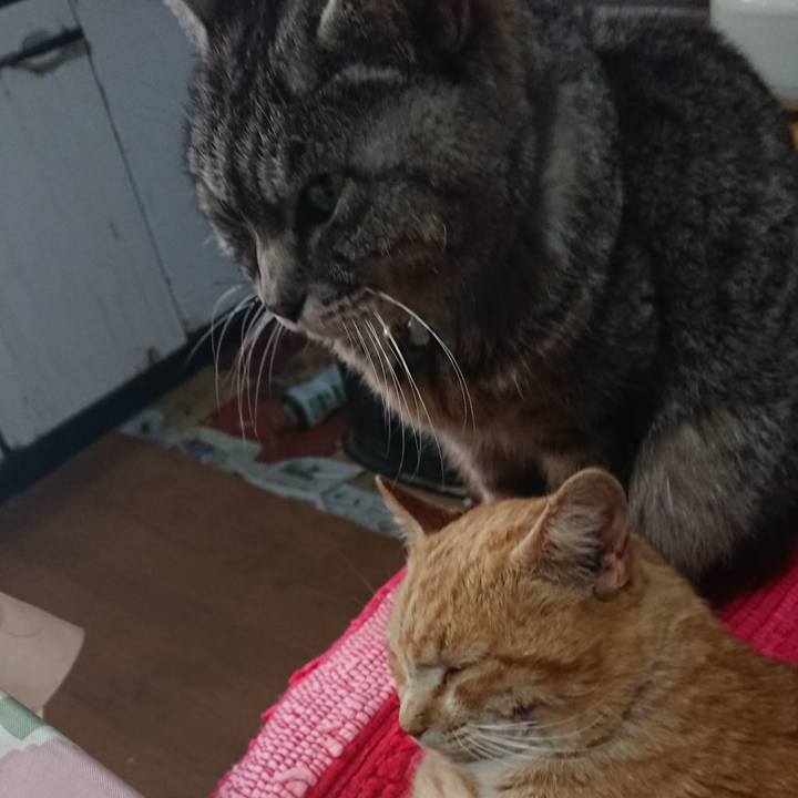 62a56ad7 e317 4169 8474 ce1fe5096cb2 1554594196976