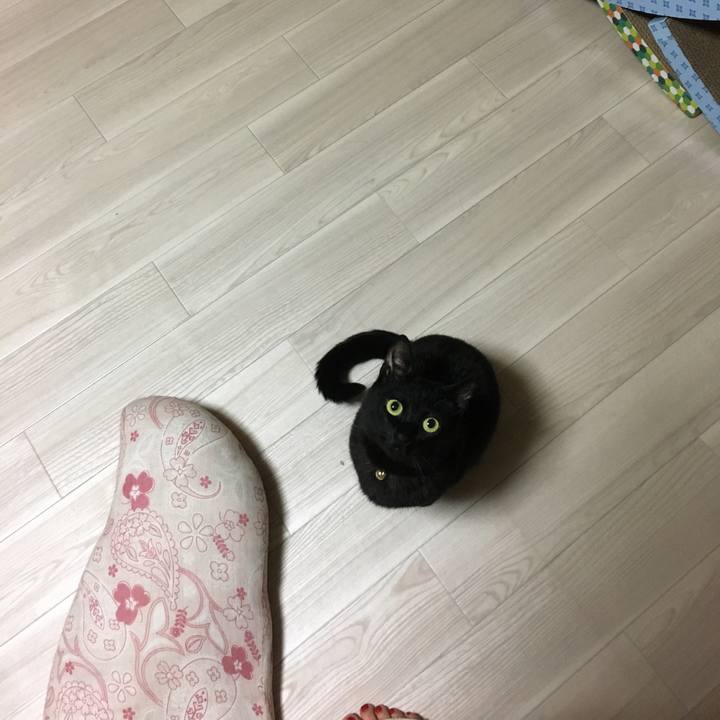 62a57f4d ad3c 4035 aca0 9d26b4901654 1520343820595