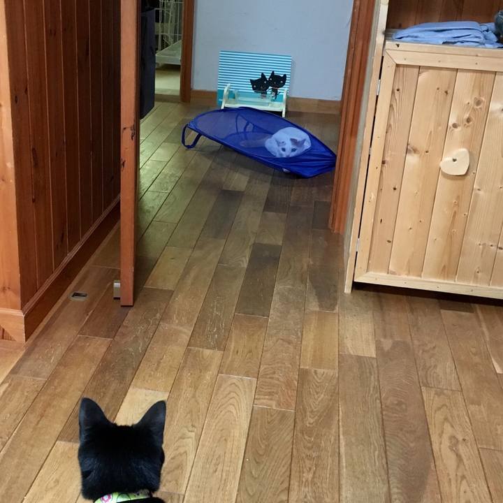 62a59324 c6f5 4709 937f 8b26887e916b 1522293729727