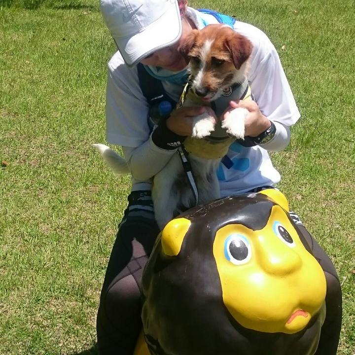 62a5ae33 da0e 43a5 8714 91b80351d948 1560000518177