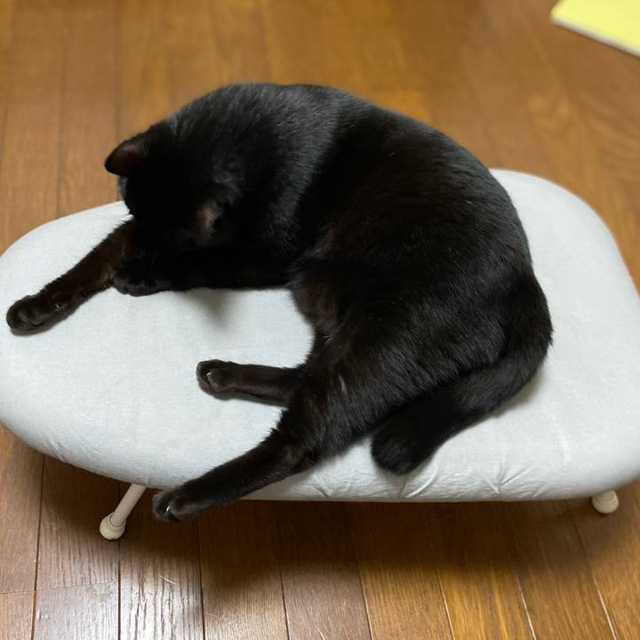 62a5b8ff dded 4b33 a56c 0c47fbe90fa3 1634468301754